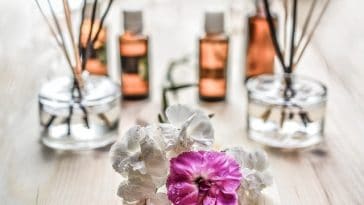 5 curiosidades sobre a aromaterapia 