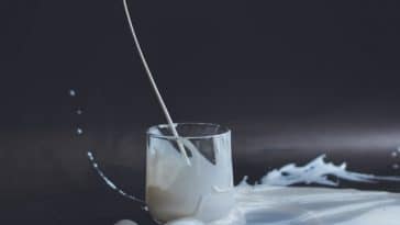 Conheça os diferentes tipos e benefícios do leite