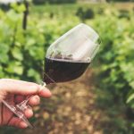 5 benefícios do vinho