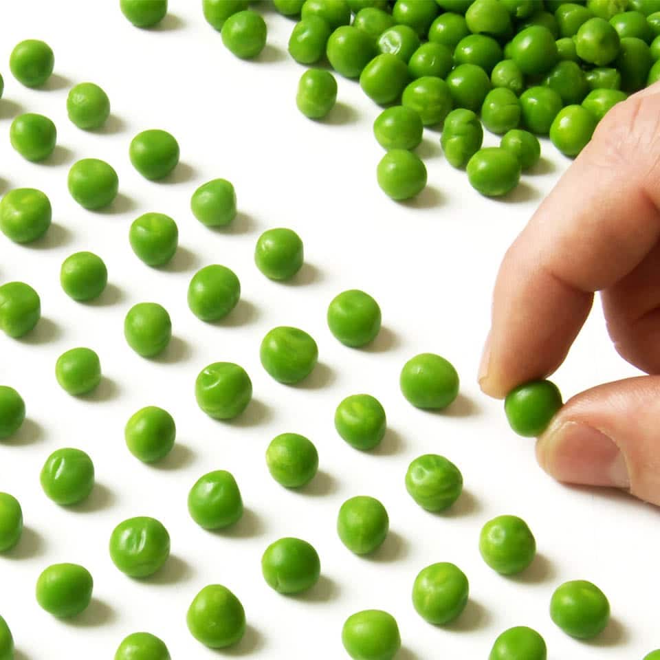 Curso de TOC – Transtorno Obsessivo Compulsivo Curso de TOC – Transtorno Obsessivo Compulsivo