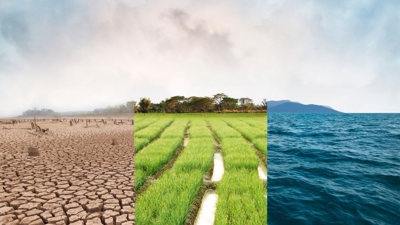 Gestão ambiental