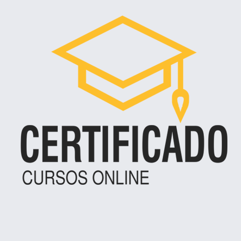 Curso de Cabeleireiro Básico Online Grátis