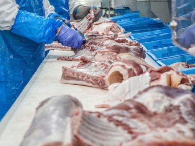 Curso de Processamento de Alimentos de Origem Animal