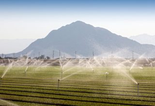 Curso de Gestão em Agronegócio