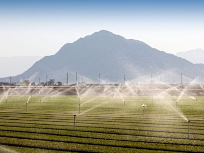 Curso de Gestão em Agronegócio