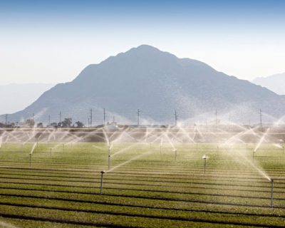 Curso de Gestão em Agronegócio