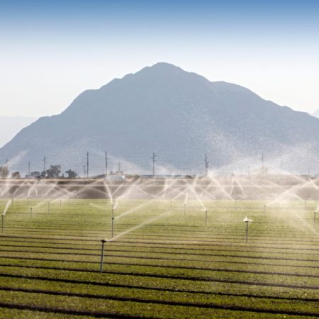 Curso de Gestão em Agronegócio