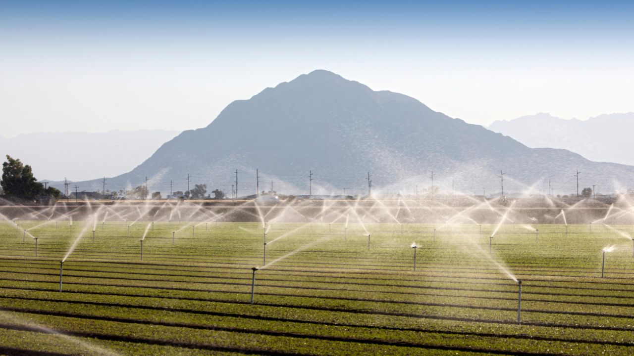 Gestão em agronegócios