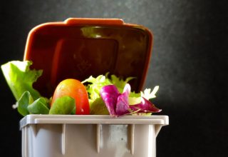 Curso de Gestão de Resíduos para Serviços de Alimentação
