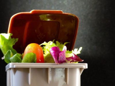 Curso de Gestão de Resíduos para Serviços de Alimentação