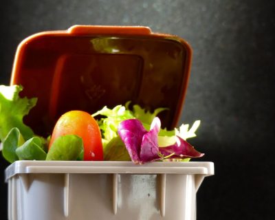 Curso de Gestão de Resíduos para Serviços de Alimentação